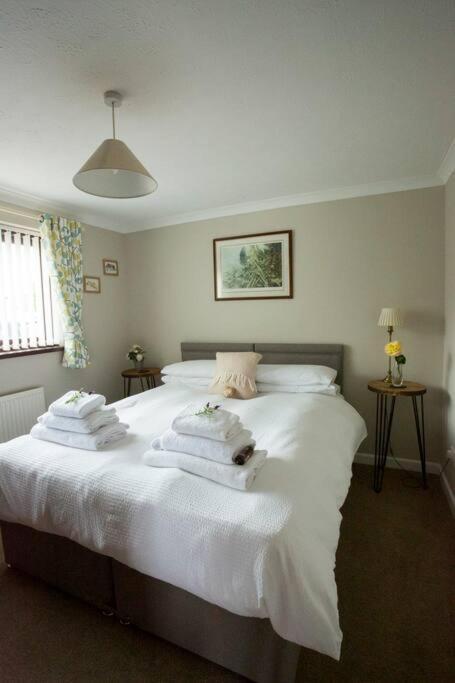 Goitre Bach Cottage Aberaeron Kültér fotó