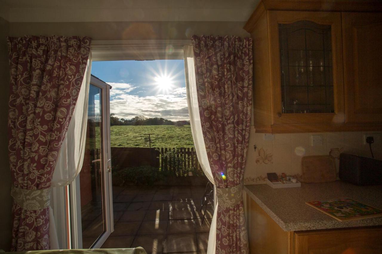 Goitre Bach Cottage Aberaeron Kültér fotó